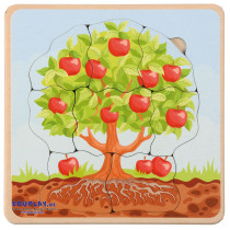 Životní cykly - Puzzle Jabloň