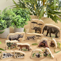 Ohrožená zvířata v divočině